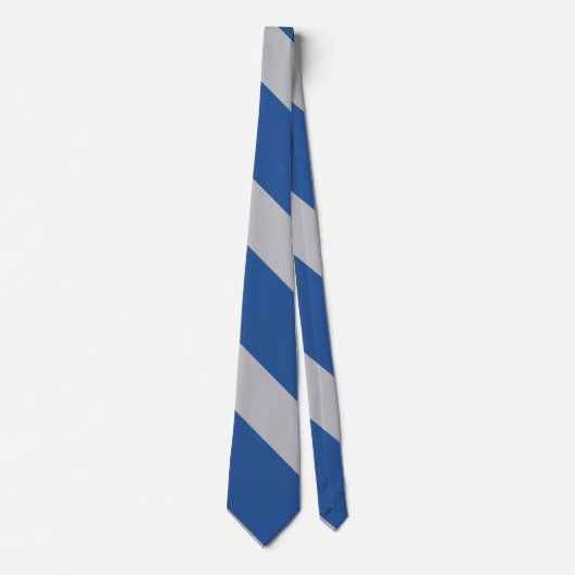 Cravate Bleu et Argent Force Large University Stripe (Devant)