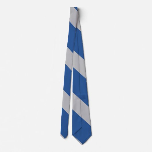 Cravate Bleu et Argent Force Large University Stripe (Dos)