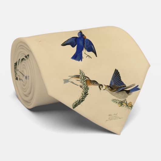 Cravate Bleu rouge de l'est des oiseaux d'Amérique d'Audub (Roulé)