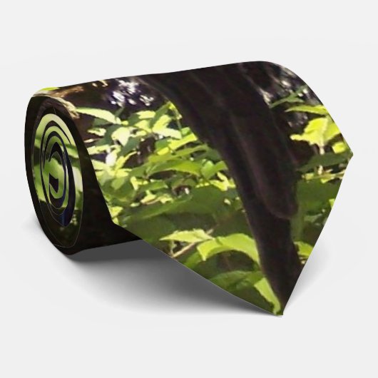 Cravate bleue de McCaw (Roulé)