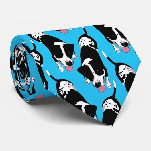 Cravate bleue de Nina (Roulé)