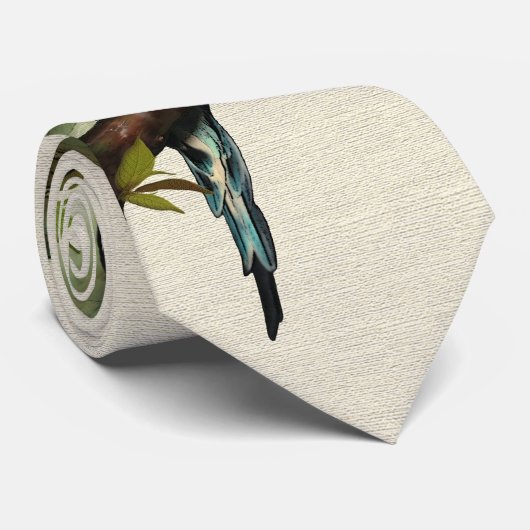 Cravate bleue de perruche (Roulé)