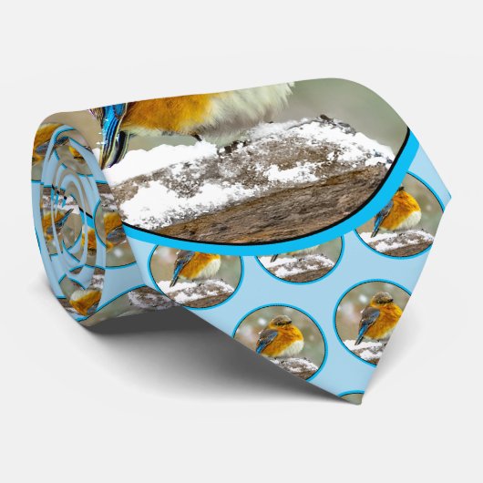 Cravate Bleuet de l'Est en neige - Photo originale (Roulé)