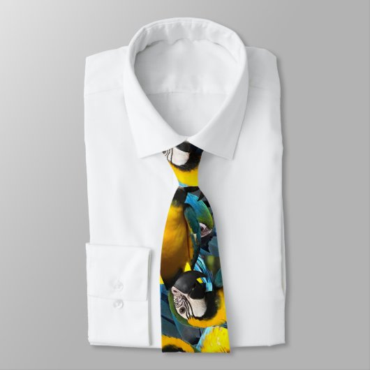 Cravate Blue & Gold Macaw Tie (Attaché)