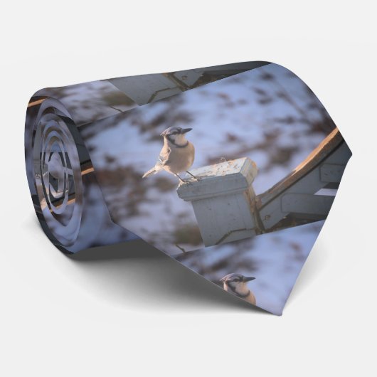 Cravate Blue Jay (Roulé)