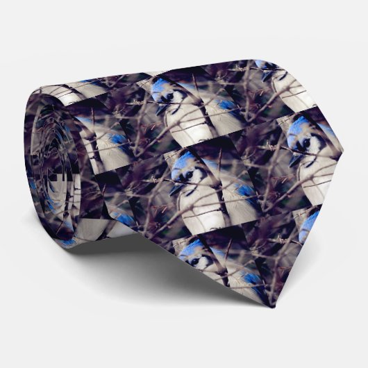 Cravate Blue Jay (Roulé)