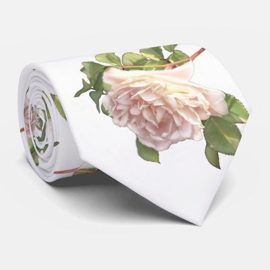 Cravate Blushing Ivory Peach Rose (Roulé)