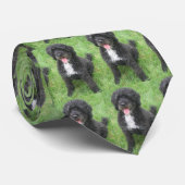 Cravate Bo Obama (Roulé)