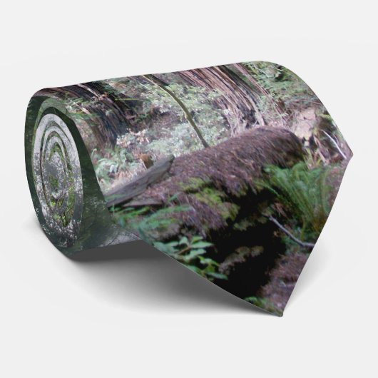 Cravate Bois de Miur (Roulé)