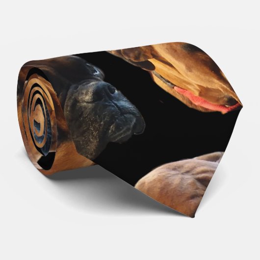 Cravate Boîte photo Chien personnalisé Chien Chien Chien C (Roulé)