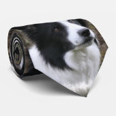 Cravate Border collie art (Roulé)