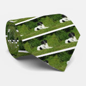 Cravate Bordure Collie (Roulé)
