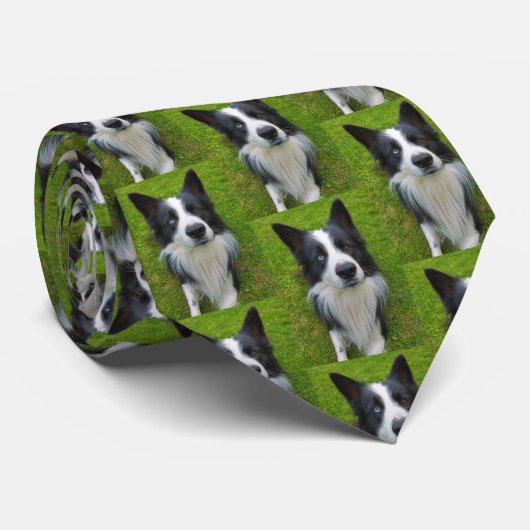 Cravate Bordure Collie (Roulé)