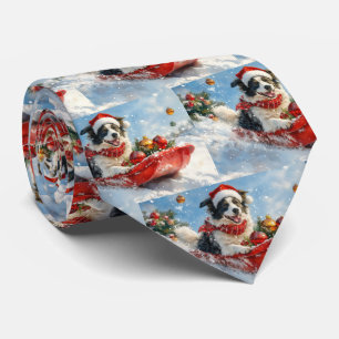 Cravate Bordure Collie Chien dans la corniche Laisser neig