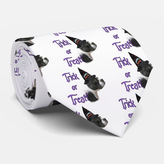 Cravate Boston Terrier Trick (Roulé)