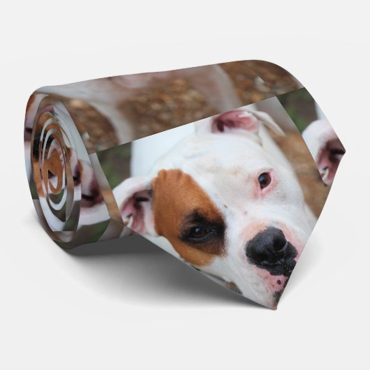 Cravate Boucle (Roulé)