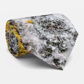 Cravate Bouleau et lichen (Roulé)