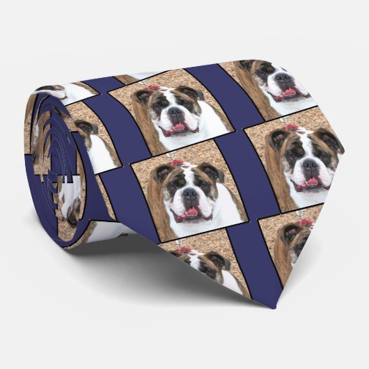 Cravate Bouledogue anglais (Roulé)
