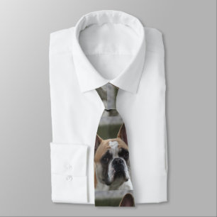 Cravate Bouledogue français