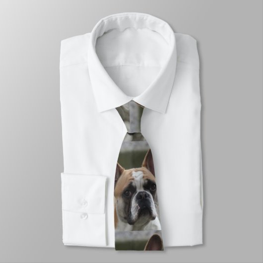 Cravate Bouledogue français (Attaché)