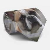 Cravate Bouledogue français (Roulé)