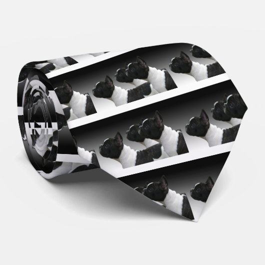 Cravate bouledogue français (Roulé)