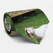 Cravate Boxer (Roulé)