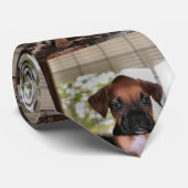 Cravate Boxer Baby (Roulé)