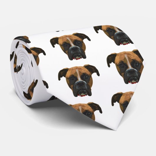 Cravate boxer_face005.png (Roulé)