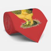 Cravate Brahma : Coq de couleur chamois (Roulé)