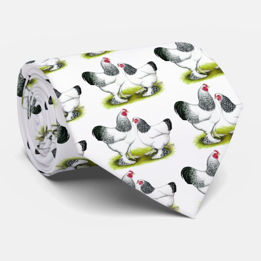 Cravate Brahma :  Lumière (Roulé)