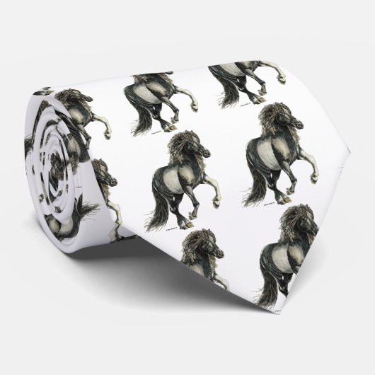 Cravate Brana (Roulé)