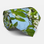 Cravate Branche of Dogwood Blossoms Spring Trees (Roulé)