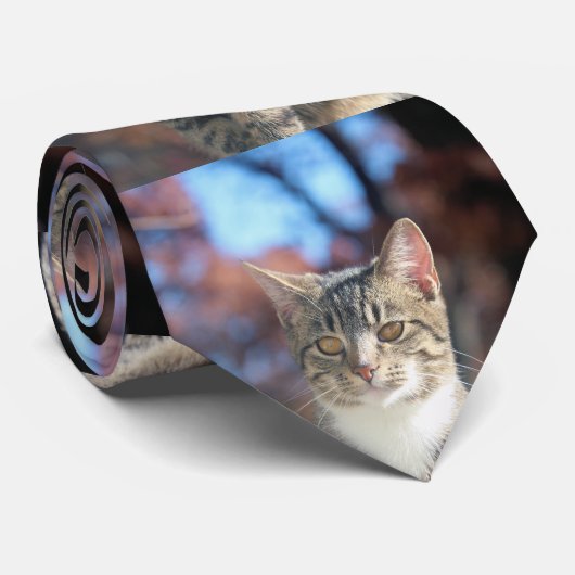 Cravate Brin (Roulé)