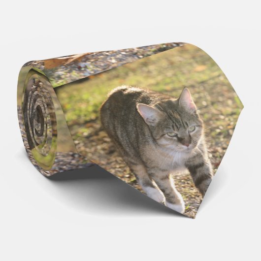 Cravate Brin (Roulé)