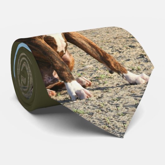 Cravate Brindle de chiot de boxeur (Roulé)