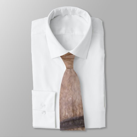 Cravate Briques (Attaché)