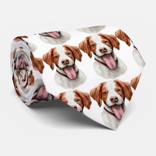 Cravate Brittany Bust (Roulé)