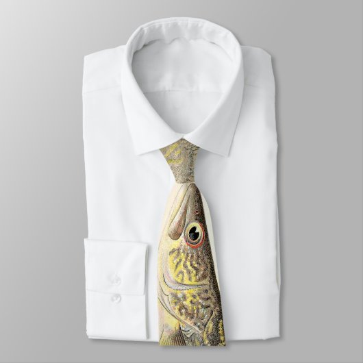 Cravate Brochets vairons Pike d'amusement (Attaché)