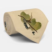 Cravate Bruant à couronne blanche - Audubon's Birds of Ame (Roulé)