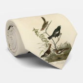 Cravate Bruants, Bruants de Lark, Oiseaux d'Amérique d'Aud (Roulé)