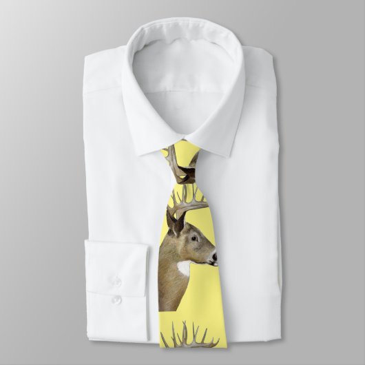 Cravate Buck de queue blanche (Attaché)