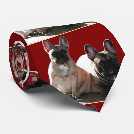 Cravate Buldogen Flo et Fips (Roulé)