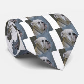 Cravate bulldog (Roulé)