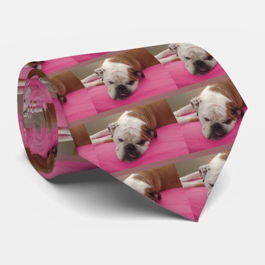 Cravate Bulldog anglais (Roulé)