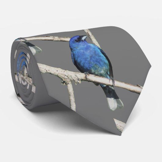 Cravate Bunting Indigo (Roulé)