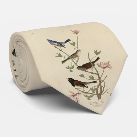 Cravate Bunting, Sparrow, Junco, (Finches) Oiseaux d'Audub (Roulé)