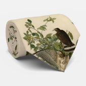 Cravate Buse à grande aile des oiseaux d'Amérique d'Audubo (Roulé)