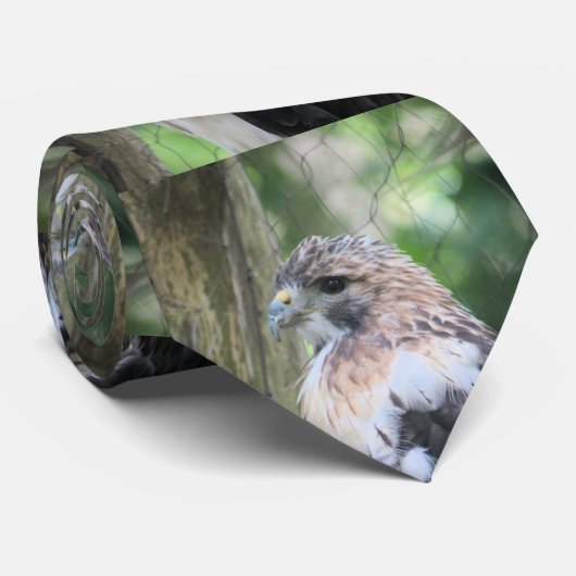 Cravate Buse à queue rouge (Roulé)