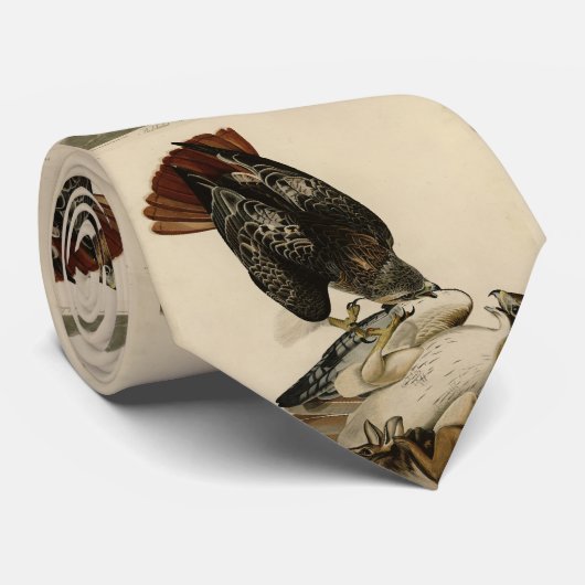 Cravate Buse à queue rouge des oiseaux d'Amérique d'Audubo (Roulé)